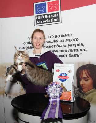 �������� ����� '������� ���-�����' 30 ������-1 ������� 2013., WCF-����� 4266